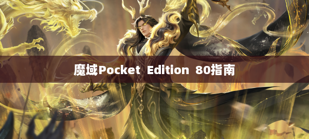 魔域Pocket Edition 80指南
